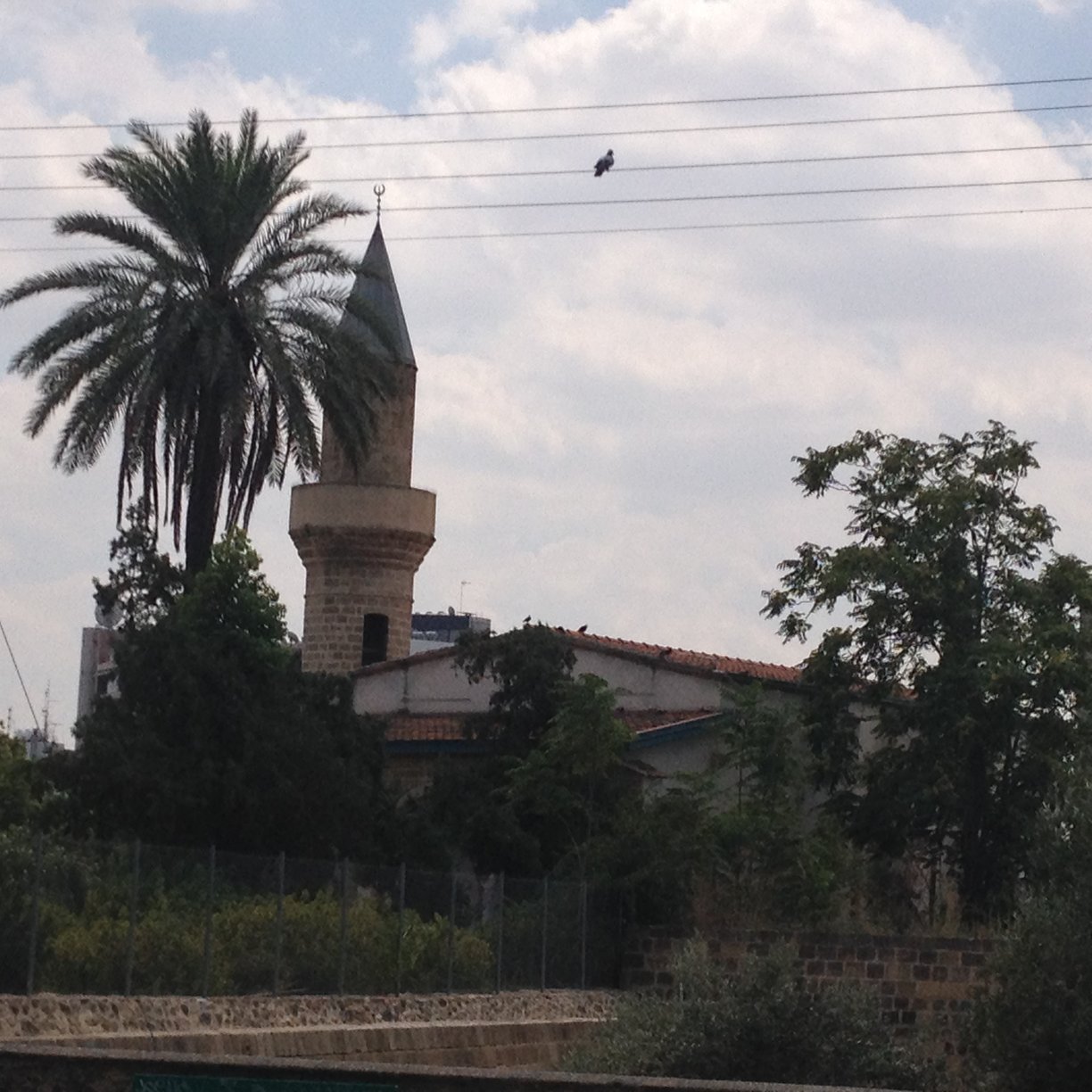 mosque nicosia