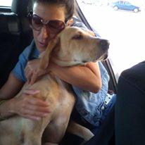 pets cyprus