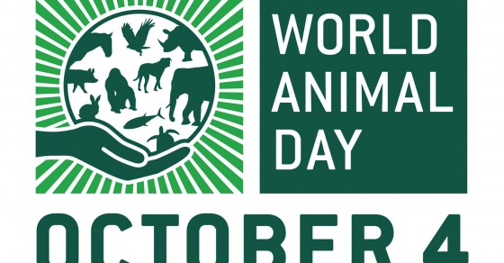 world animal day 2016