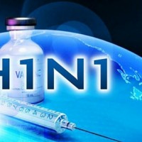cyprus swine flu