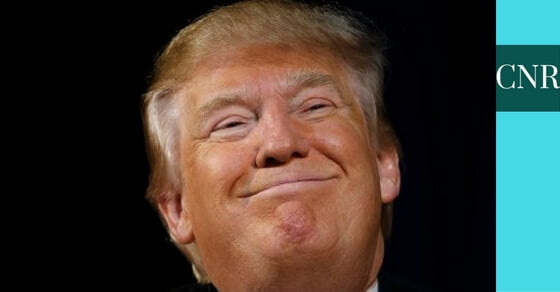trump wins us elections