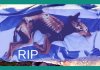 farewell