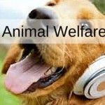 Group logo of Animal Welfare